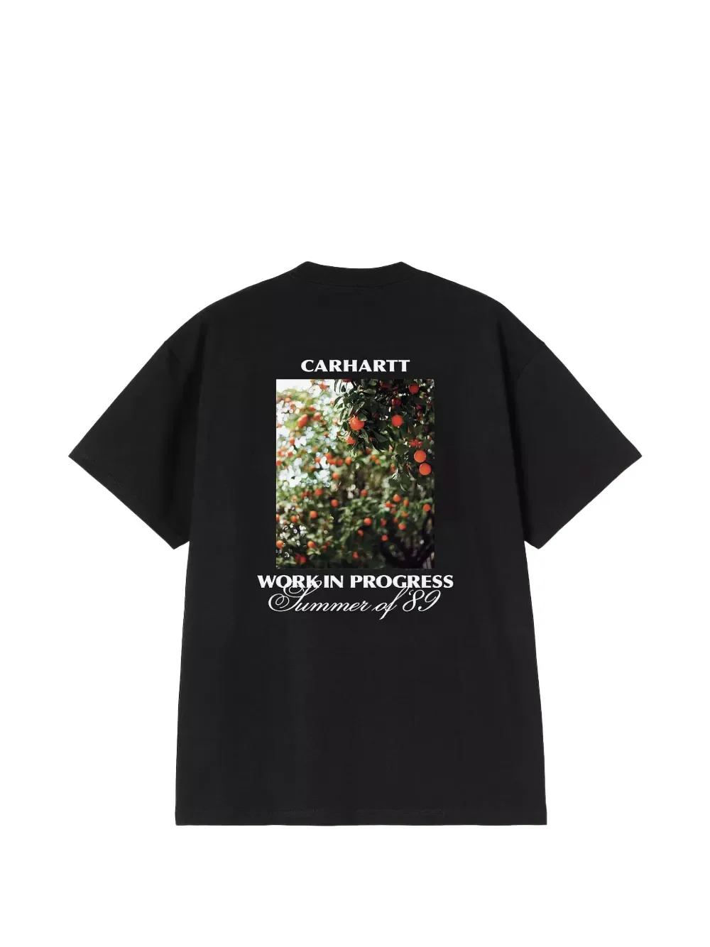 CARHARTT WIP - Unisex S/S Warm Views T-Shirts - Image 2