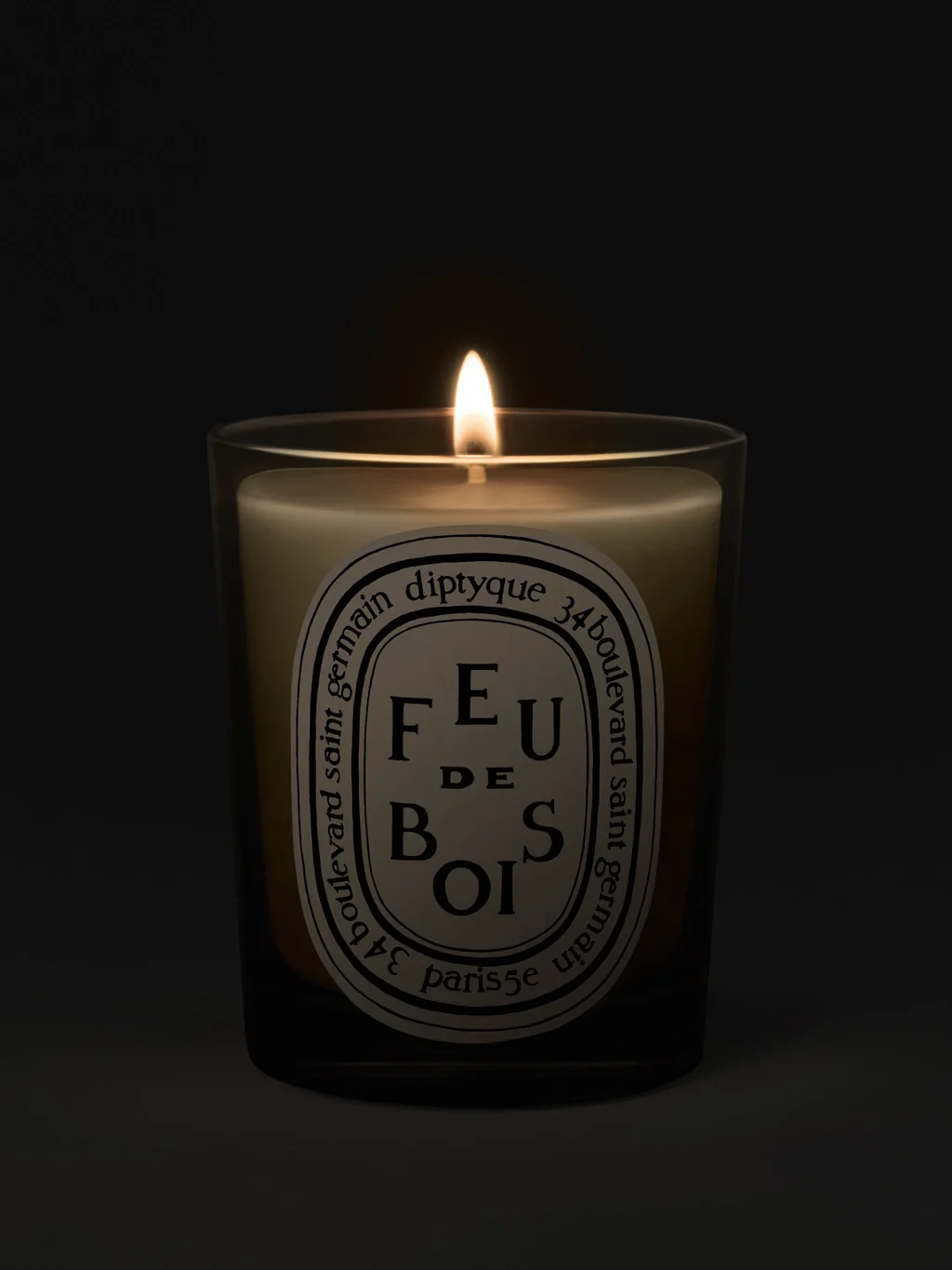 DIPTYQUE - Feu De Bois Classic Candle - Image 2