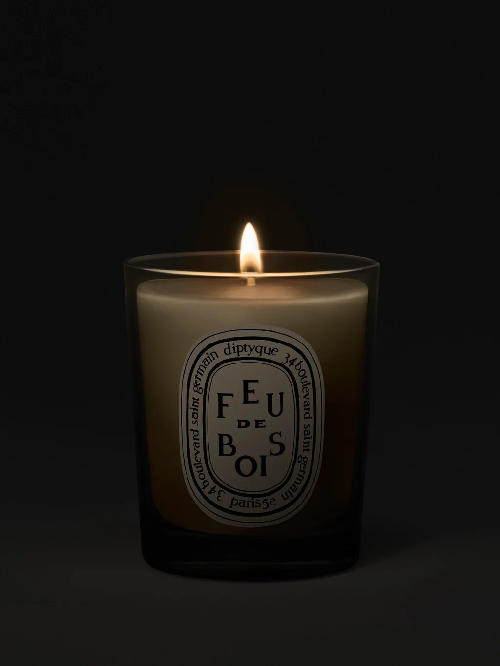 DIPTYQUE - Feu de Bois Wood Fire Small Candle - Image 3