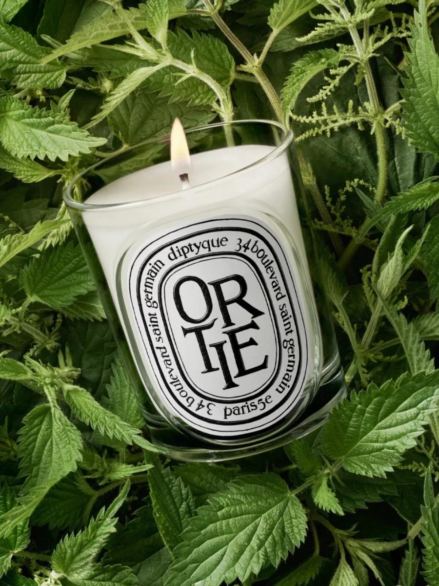 DIPTYQUE - Ortie Classic Candle - Image 3