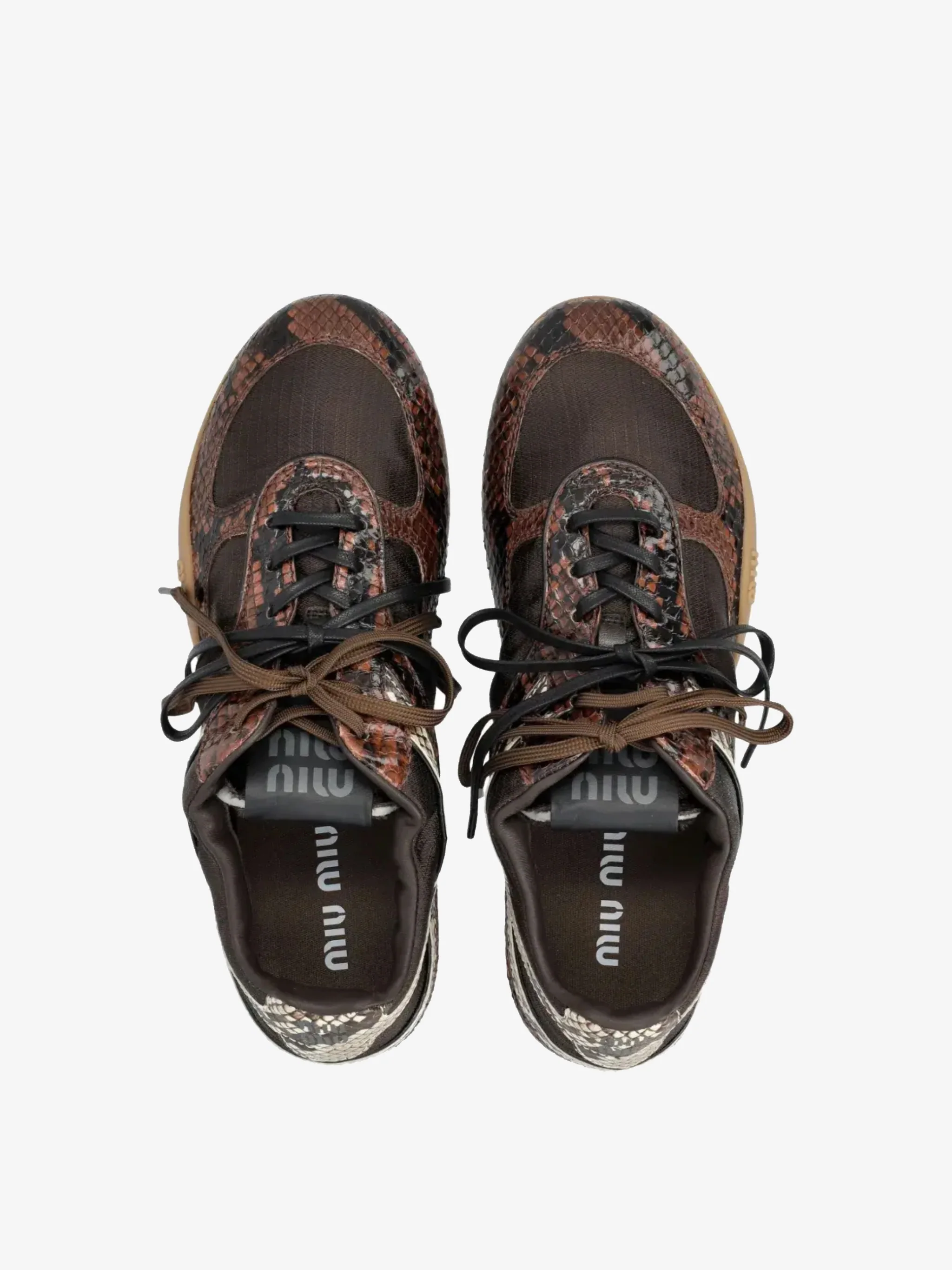 MIU MIU - Women Python Print Sneakers - Image 4