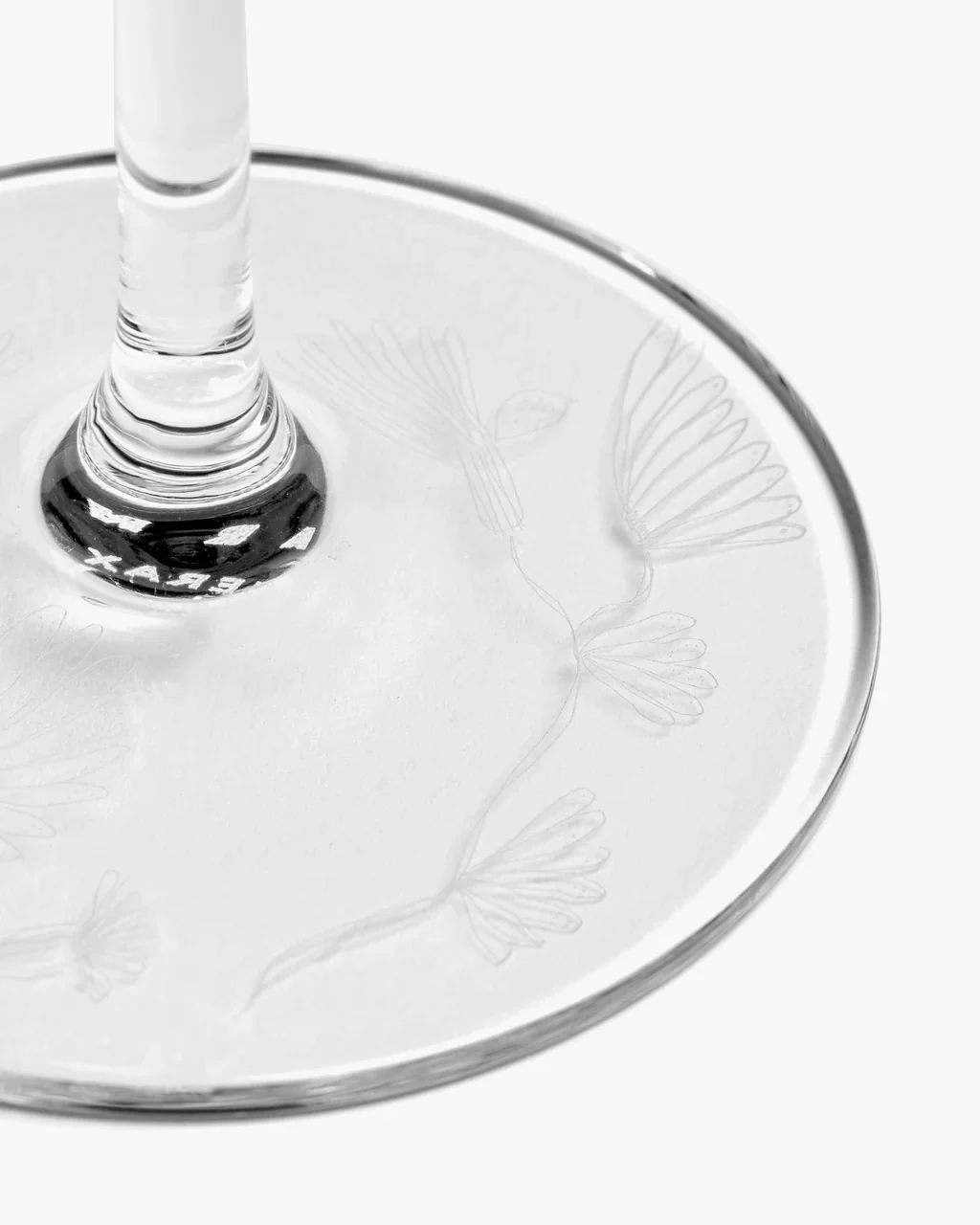 SERAX X MARNI - Camelia Aubergine Champagne Flute - Image 4