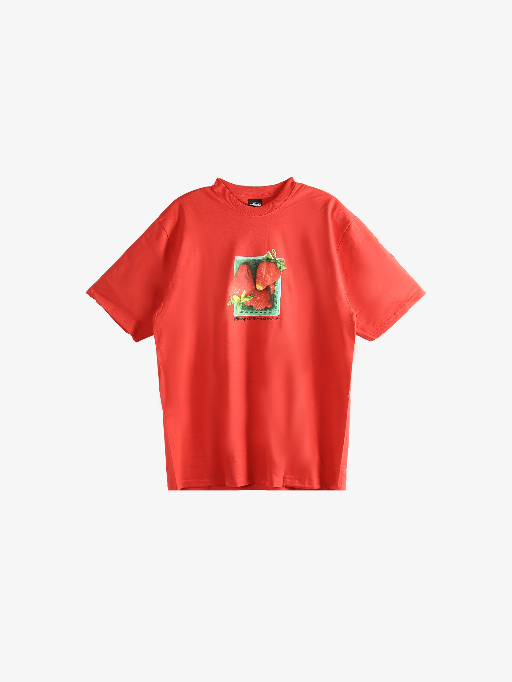 STUSSY - Men Berries Tee