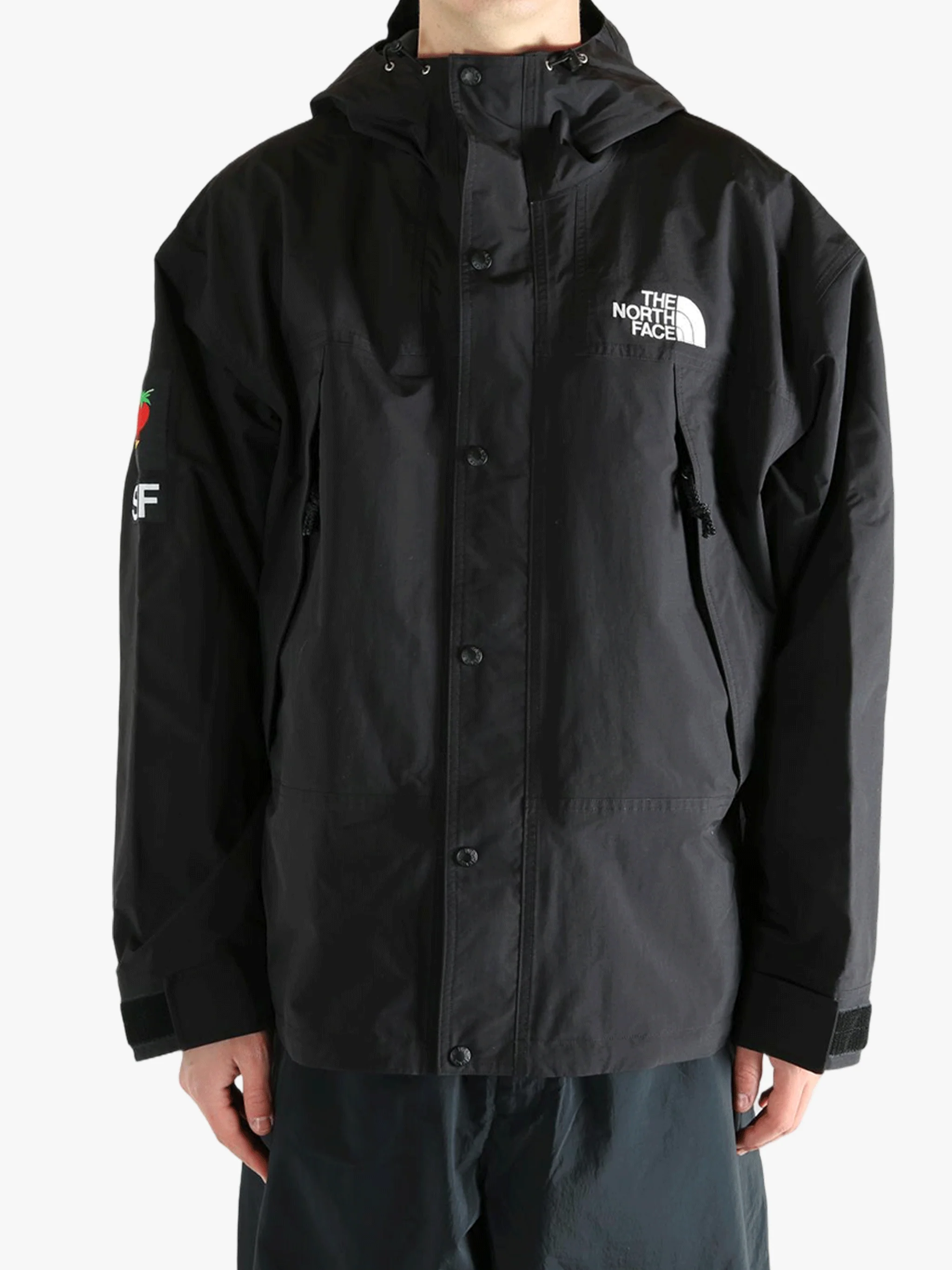 THE NORTH FACE X SHF - Men Retro Jacket
