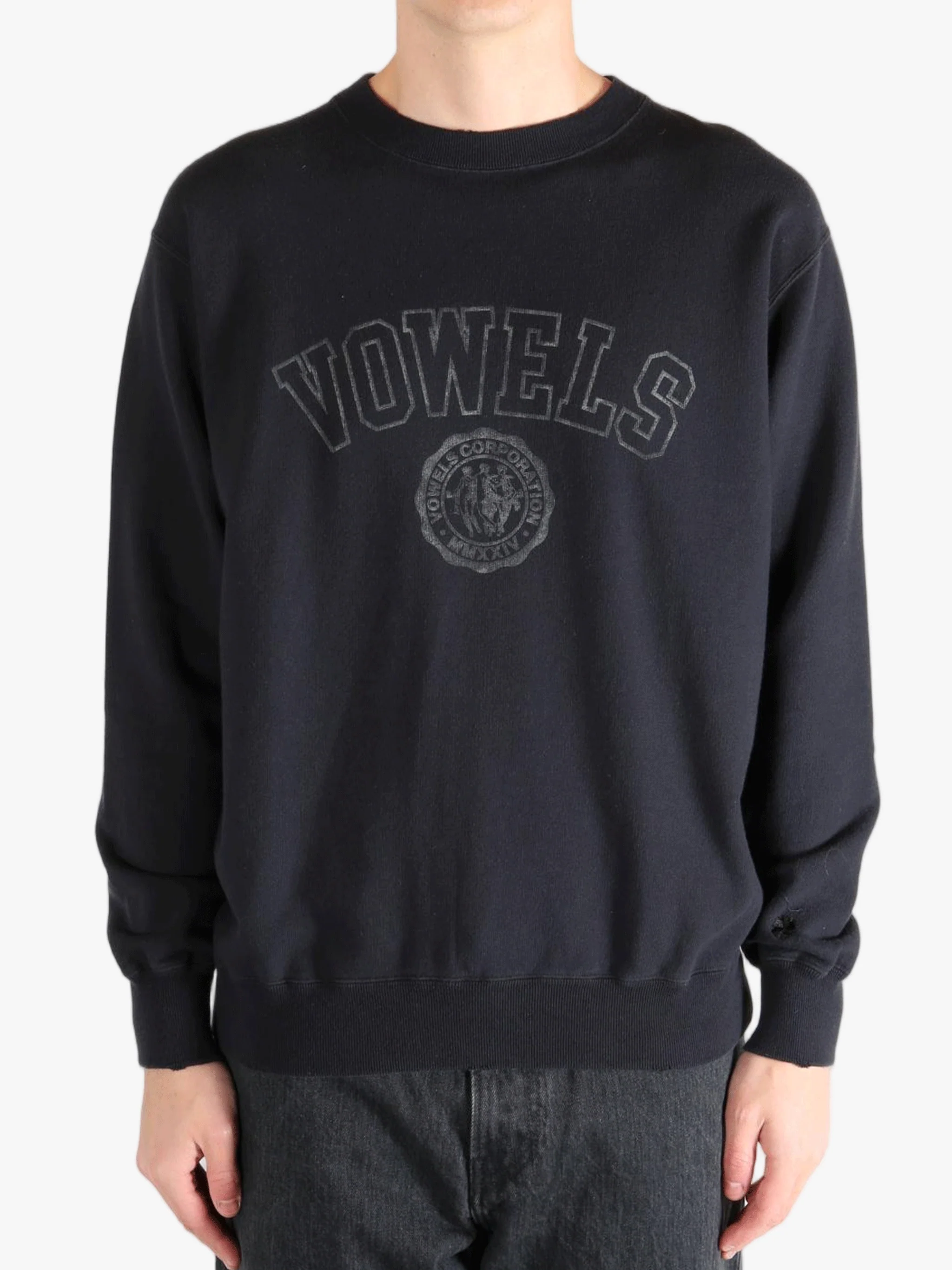 VOWELS - Men Faded Collegiate Crewneck Pullover