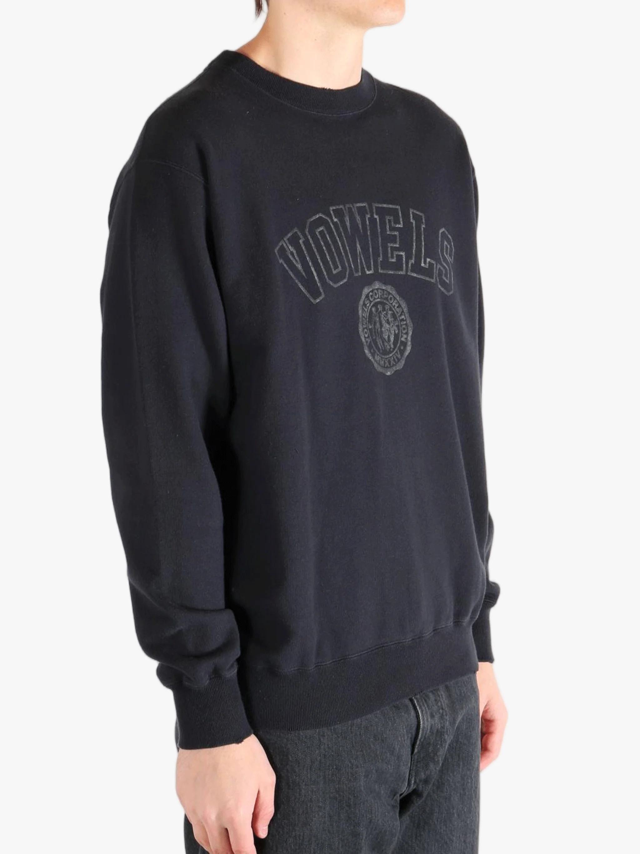 VOWELS - Men Faded Collegiate Crewneck Pullover - Image 2